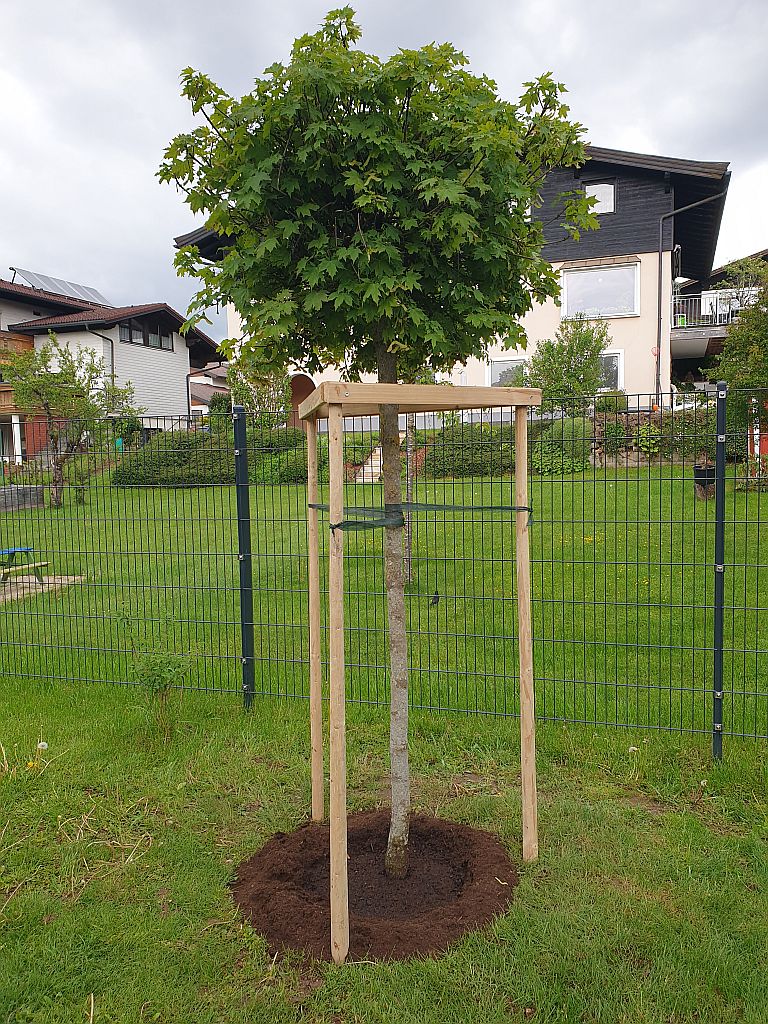 Gartenprojekt